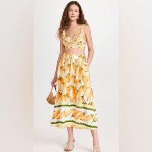 farm rio yellow peppers set small like new